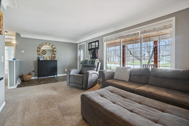 739 Gasper St, Chesaning, MI 48616 - carpeted living area with crown molding and baseboards