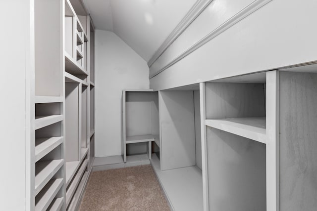 1651 Edison St, Detroit, MI 48206 - spacious closet featuring vaulted ceiling and carpet floors