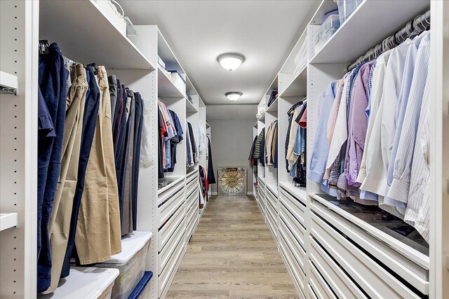 1194 Eagle Nest, Milford, MI 48381 - walk in closet featuring light wood-style flooring