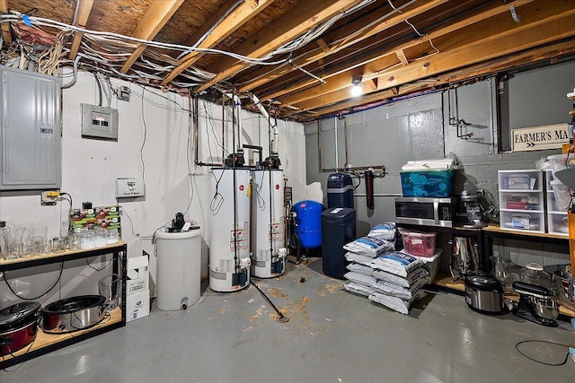 1194 Eagle Nest, Milford, MI 48381 - unfinished basement featuring electric panel, a water pressure tank, and water heater