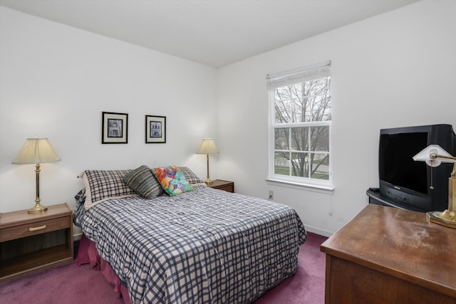 31052 Silverdale Dr, Novi, MI 48377 - bedroom featuring baseboards and carpet