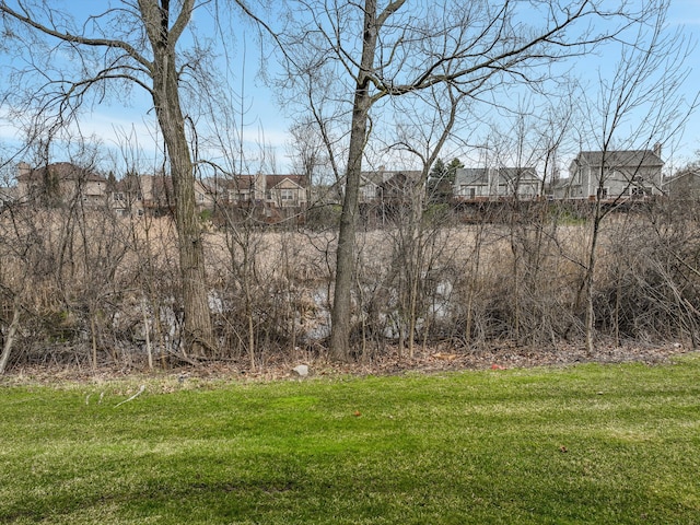 31052 Silverdale Dr, Novi, MI 48377 - view of local wilderness