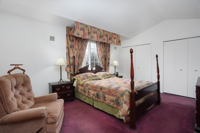 31052 Silverdale Dr, Novi, MI 48377 - carpeted bedroom with vaulted ceiling and multiple closets