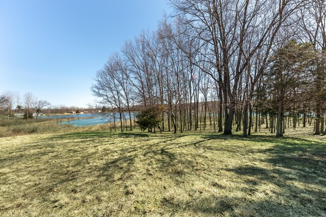 10485 Hadley Rd, Gregory, MI 48137 - view of yard featuring a water view