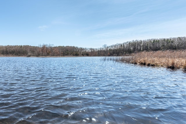 10485 Hadley Rd, Gregory, MI 48137 - water view featuring a view of trees