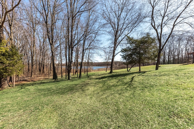 10485 Hadley Rd, Gregory, MI 48137 - view of yard with a water view