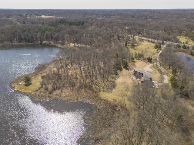10485 Hadley Rd, Gregory, MI 48137 - birds eye view of property with a water view and a view of trees