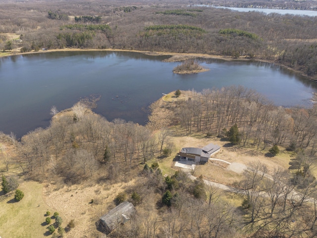 10485 Hadley Rd, Gregory, MI 48137 - drone / aerial view with a wooded view and a water view
