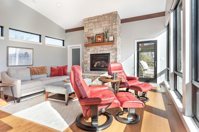 10485 Hadley Rd, Gregory, MI 48137 - living room featuring wood-type flooring, high vaulted ceiling, and a fireplace