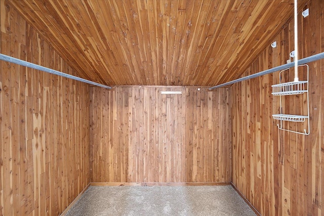 18645 Cherrylawn St, Detroit, MI 48221 - spacious closet with vaulted ceiling