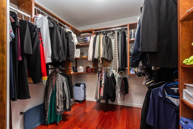 46498 Houghton Dr, Shelby, MI 48315 - walk in closet featuring wood finished floors