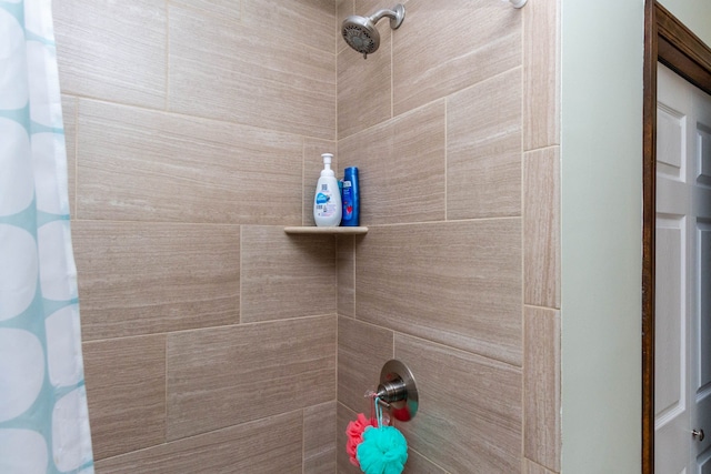 46498 Houghton Dr, Shelby, MI 48315 - details with tiled shower