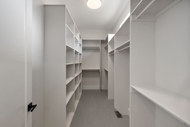 49351 Villa Dr, Novi, MI 48374 - spacious closet featuring carpet flooring
