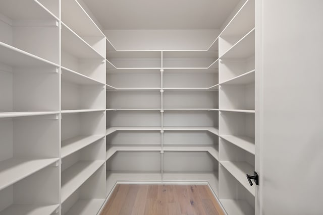 49351 Villa Dr, Novi, MI 48374 - view of pantry