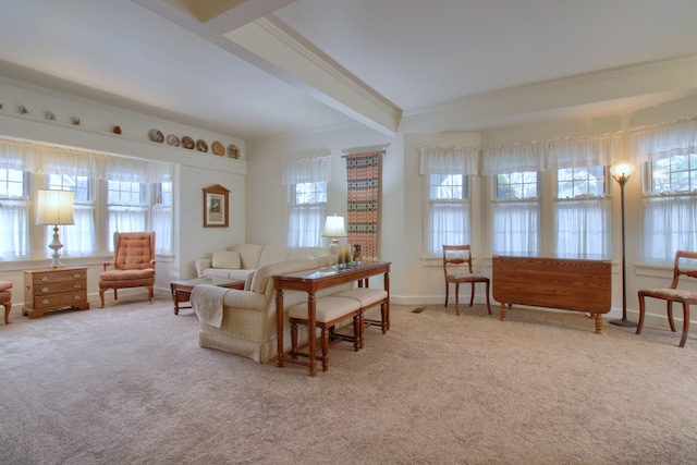 living area with carpet, crown molding, and a healthy amount of sunlight