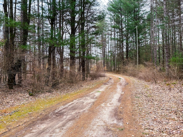 view of street featuring a view of trees