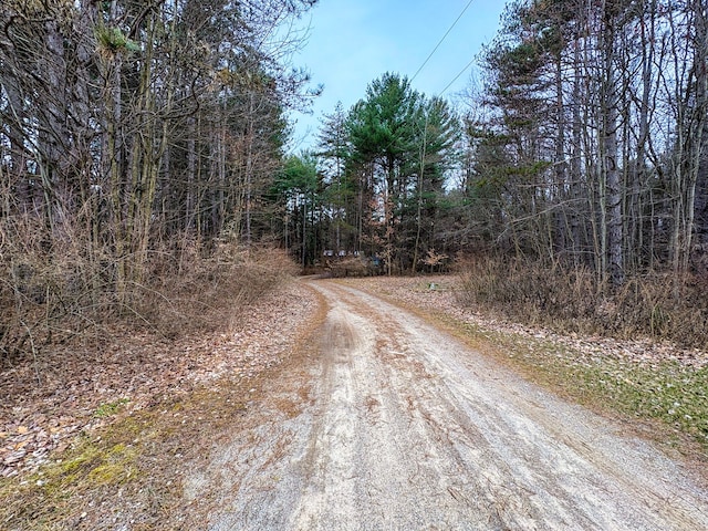 view of dirt / gravel road with a view of trees
