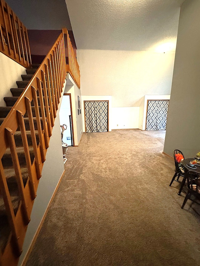 stairs with carpet floors