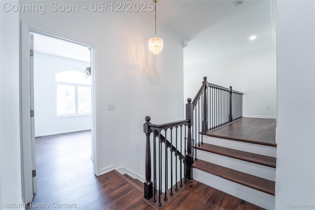 55495 Parkview Dr, Utica, MI 48316 - photo 21