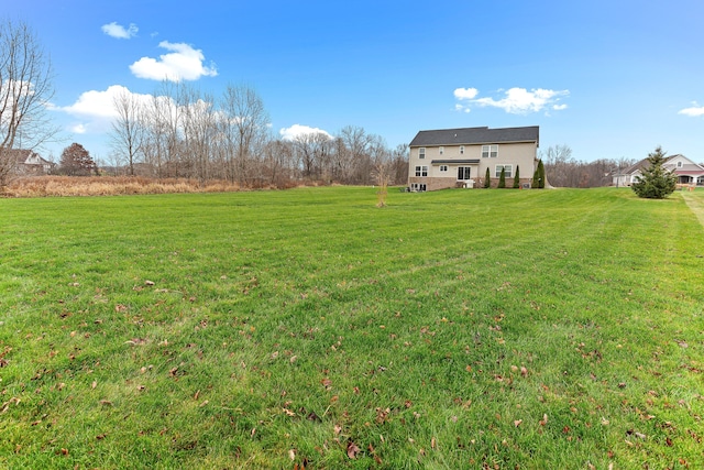 316 Lenox Ln, Brighton, MI 48114 - view of yard