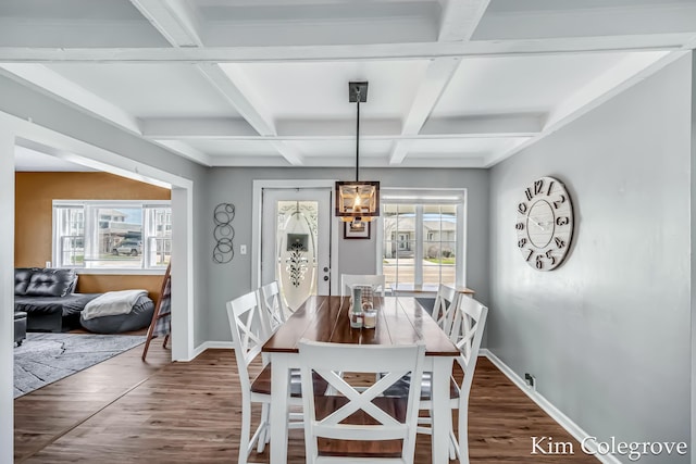 dining room with wood finished floors, baseboards, and plenty of natural light