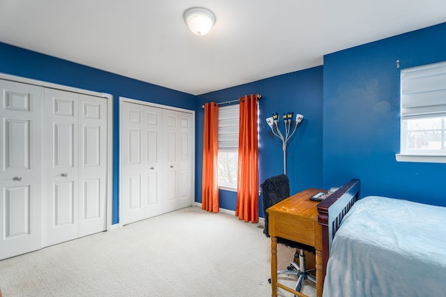 3885 Silver Charm Ln, Howell, MI 48843 - bedroom featuring two closets and carpet flooring