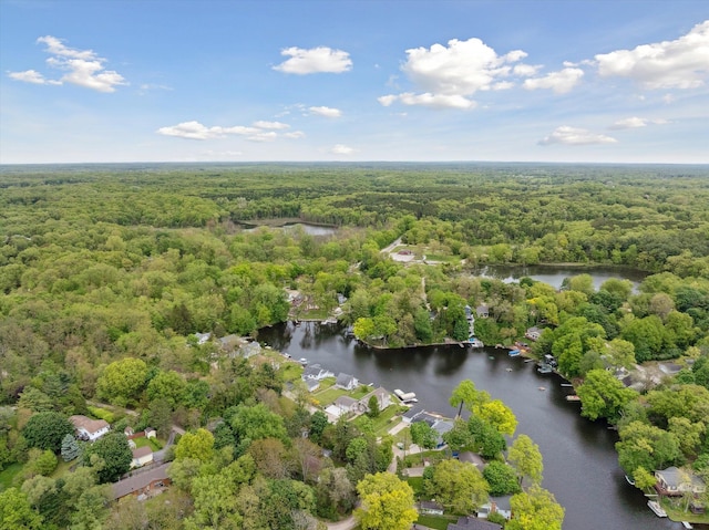 11449 Sunset Blvd, Pinckney, MI 48169 - aerial view of a forest and a nearby body of water