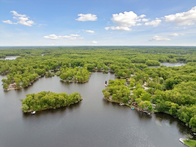 11449 Sunset Blvd, Pinckney, MI 48169 - aerial view of a heavily wooded area and a nearby body of water