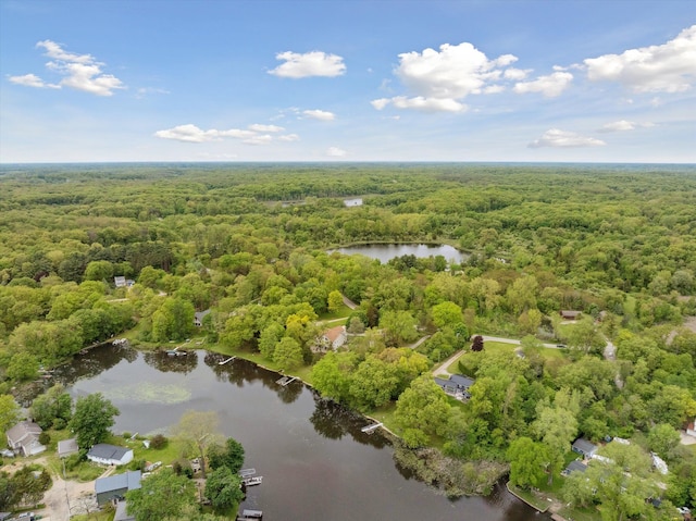 11449 Sunset Blvd, Pinckney, MI 48169 - aerial view of a forest and a nearby body of water