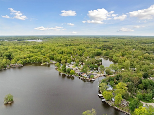 11449 Sunset Blvd, Pinckney, MI 48169 - bird's eye view of a forest and a large body of water