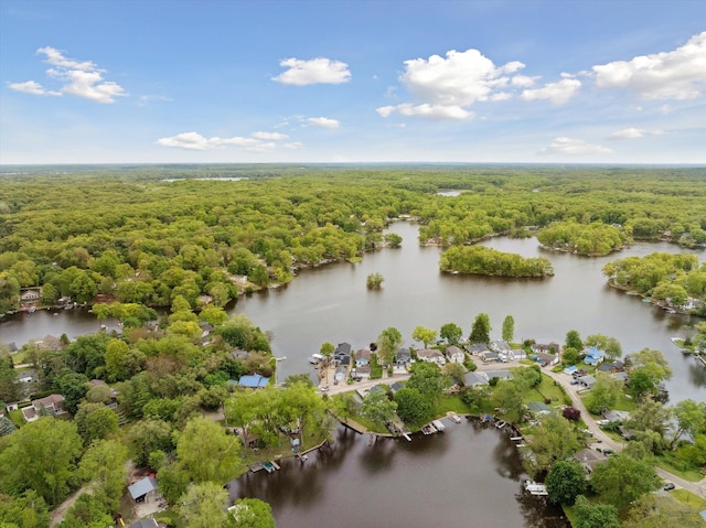 11449 Sunset Blvd, Pinckney, MI 48169 - bird's eye view of a heavily wooded area and a large body of water