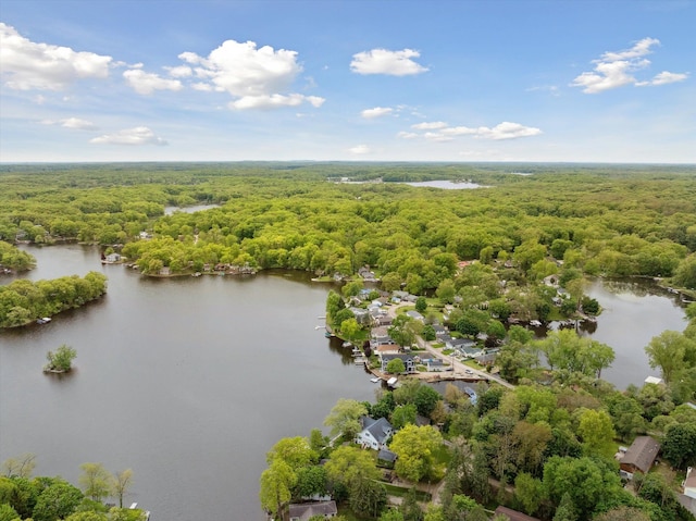 11449 Sunset Blvd, Pinckney, MI 48169 - aerial view of a heavily wooded area and a large body of water