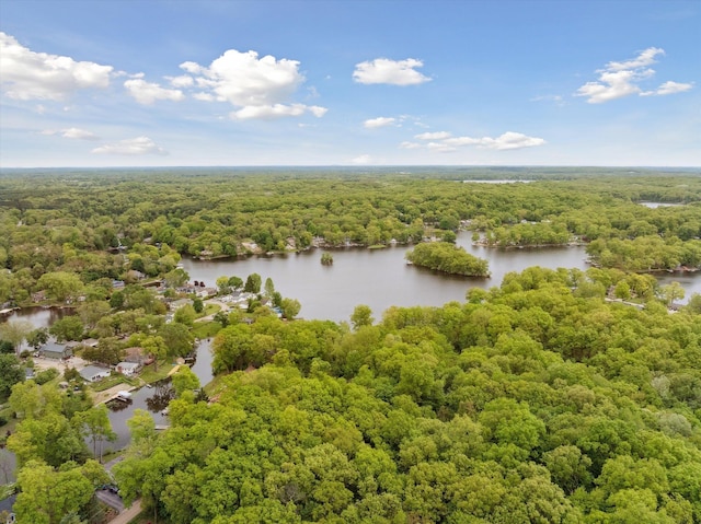 11449 Sunset Blvd, Pinckney, MI 48169 - drone / aerial view of a heavily wooded area and a large body of water