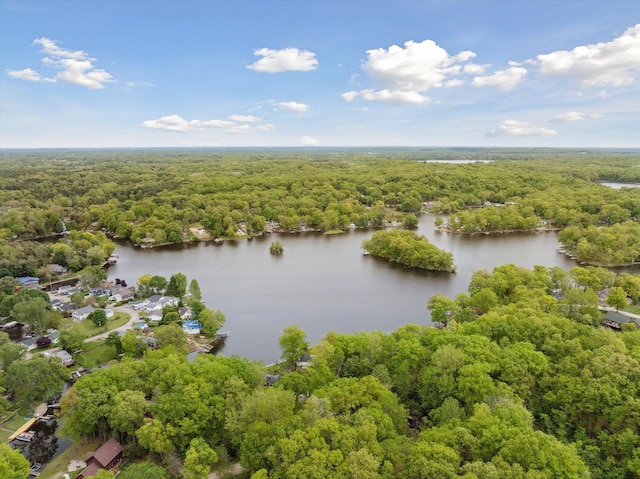11449 Sunset Blvd, Pinckney, MI 48169 - aerial view of a forest and a large body of water