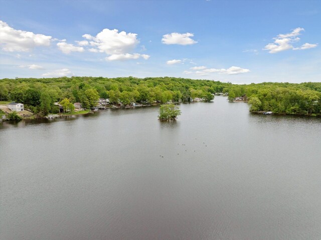 11449 Sunset Blvd, Pinckney, MI 48169 - water view with a forest
