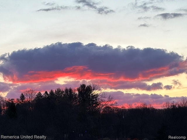 11449 Sunset Blvd, Pinckney, MI 48169 - view of nature at dusk