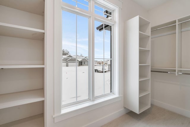 walk in closet with carpet