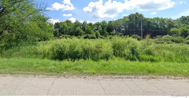 0 N N Huron Rd, Pinconning, MI 48650