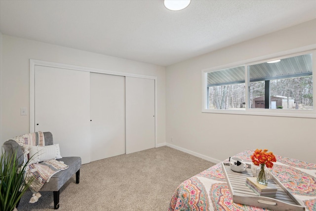 323 13th St, Plainwell, MI 49080 - carpeted bedroom with a closet