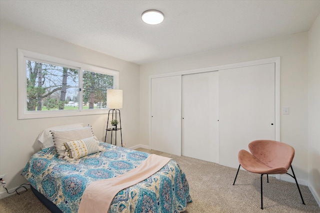 323 13th St, Plainwell, MI 49080 - bedroom featuring a closet and carpet floors