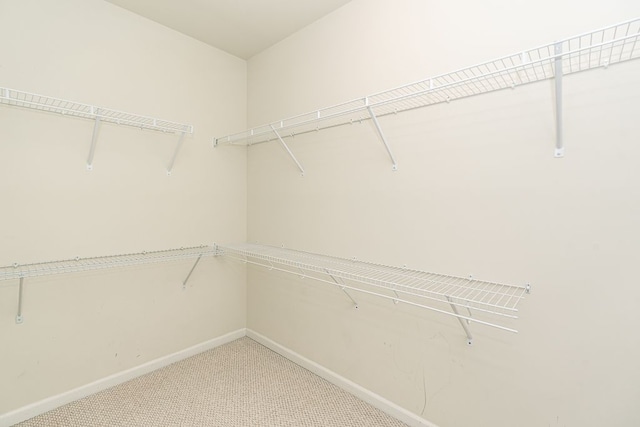 spacious closet with carpet flooring