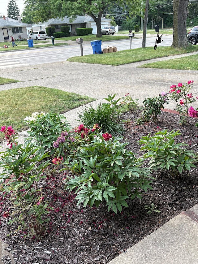 27908 Ryan Rd, Warren, MI 48092 - view of yard