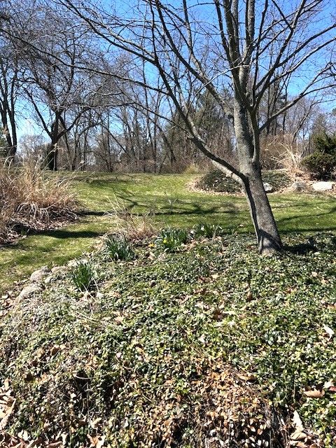 7000 Hillside Dr, Clarkston, MI 48346