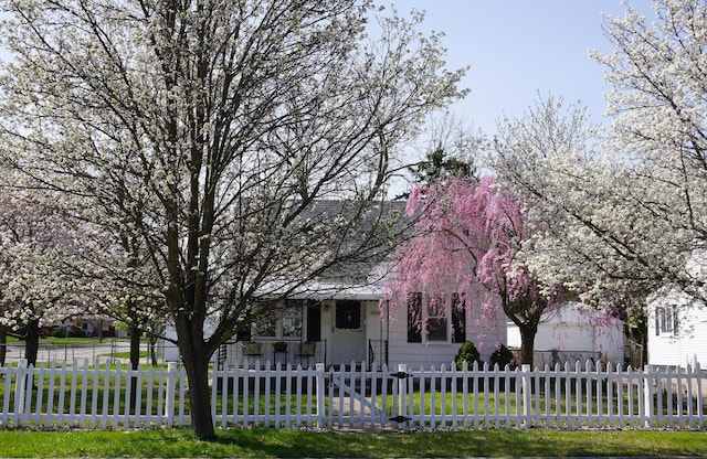 view of front facade with a fenced front yard and a front lawn