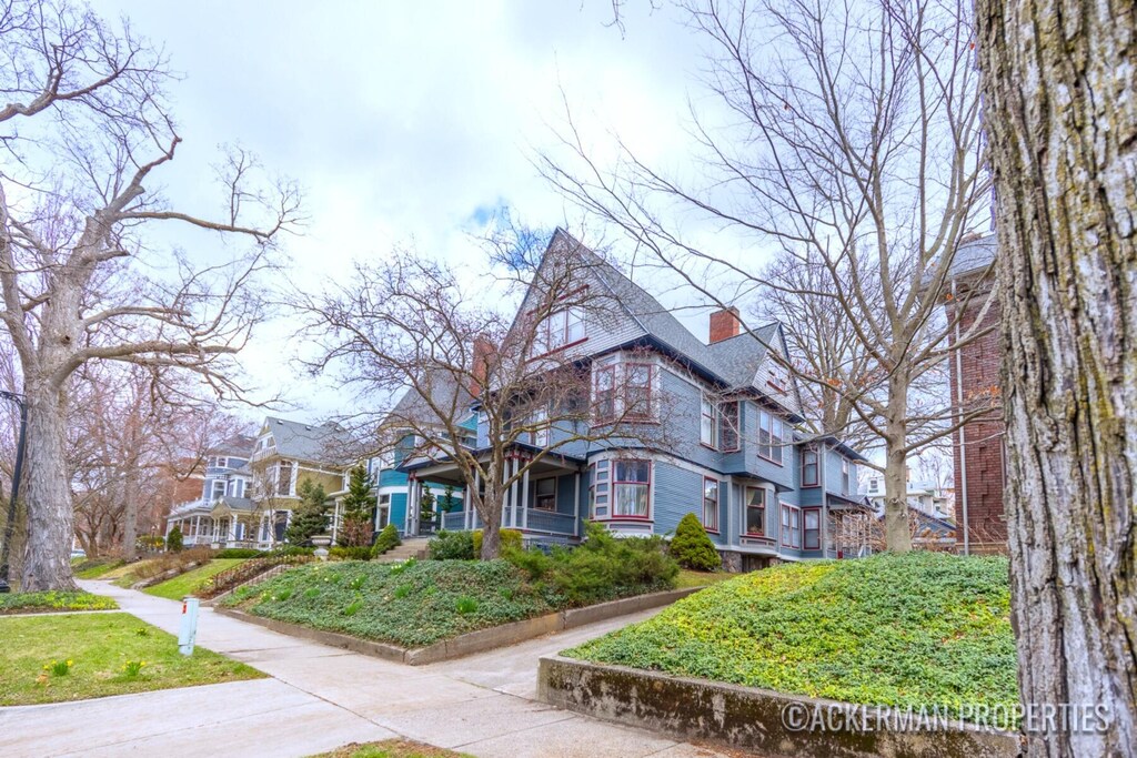234 Madison Ave SE, Grand Rapids, MI 49503 - view of front of house with a chimney