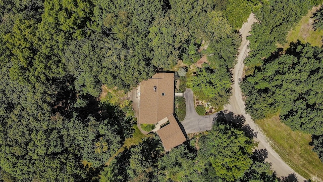3375 Riverbend Dr, Ann Arbor, MI 48105 - bird's eye view