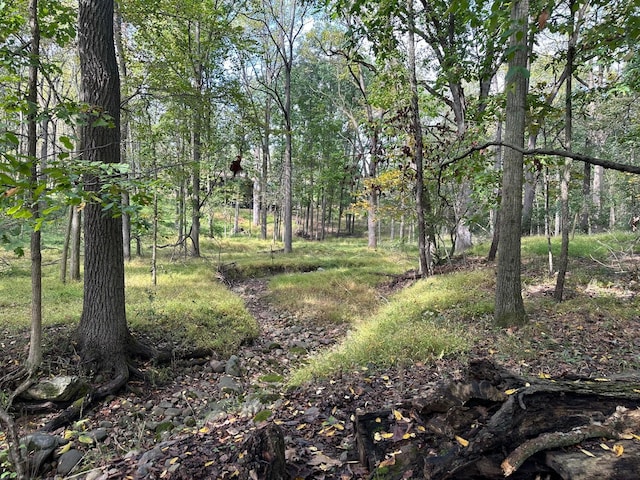 3375 Riverbend Dr, Ann Arbor, MI 48105 - view of local wilderness