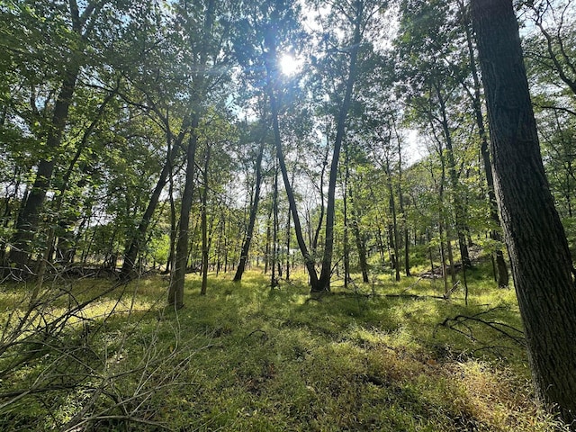 3375 Riverbend Dr, Ann Arbor, MI 48105 - view of local wilderness