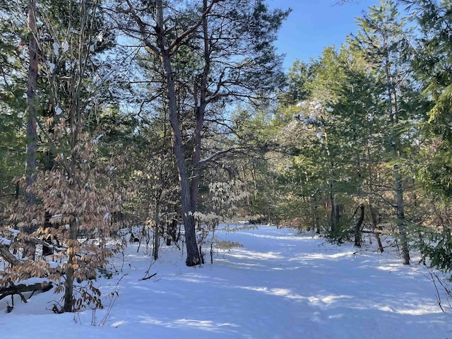 00 Langs Ln, Interlochen, MI 49643