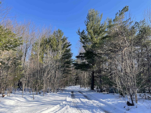 00 Langs Ln, Interlochen, MI 49643